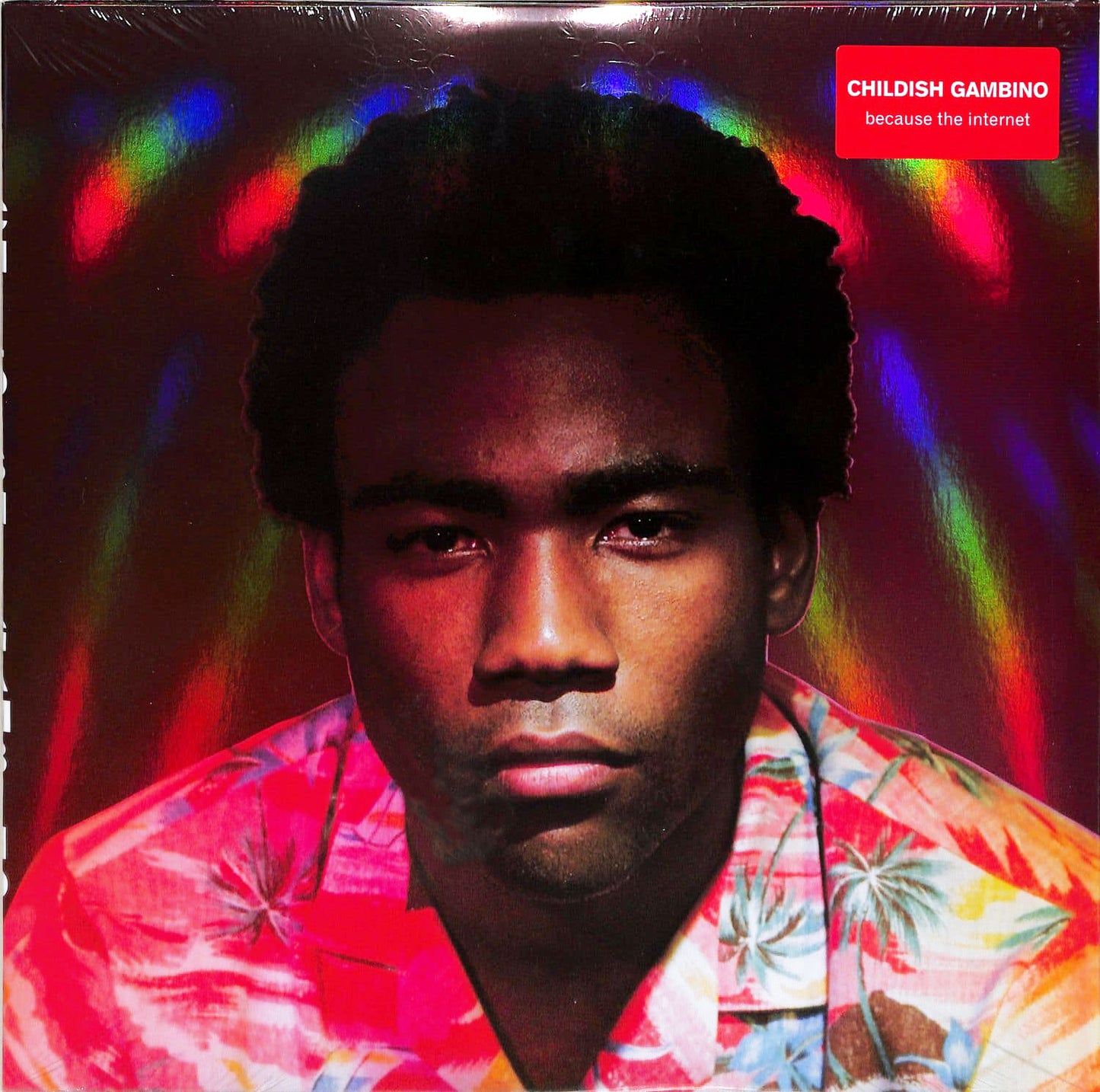 Because The Internet (2XLP 180g Vinyl)