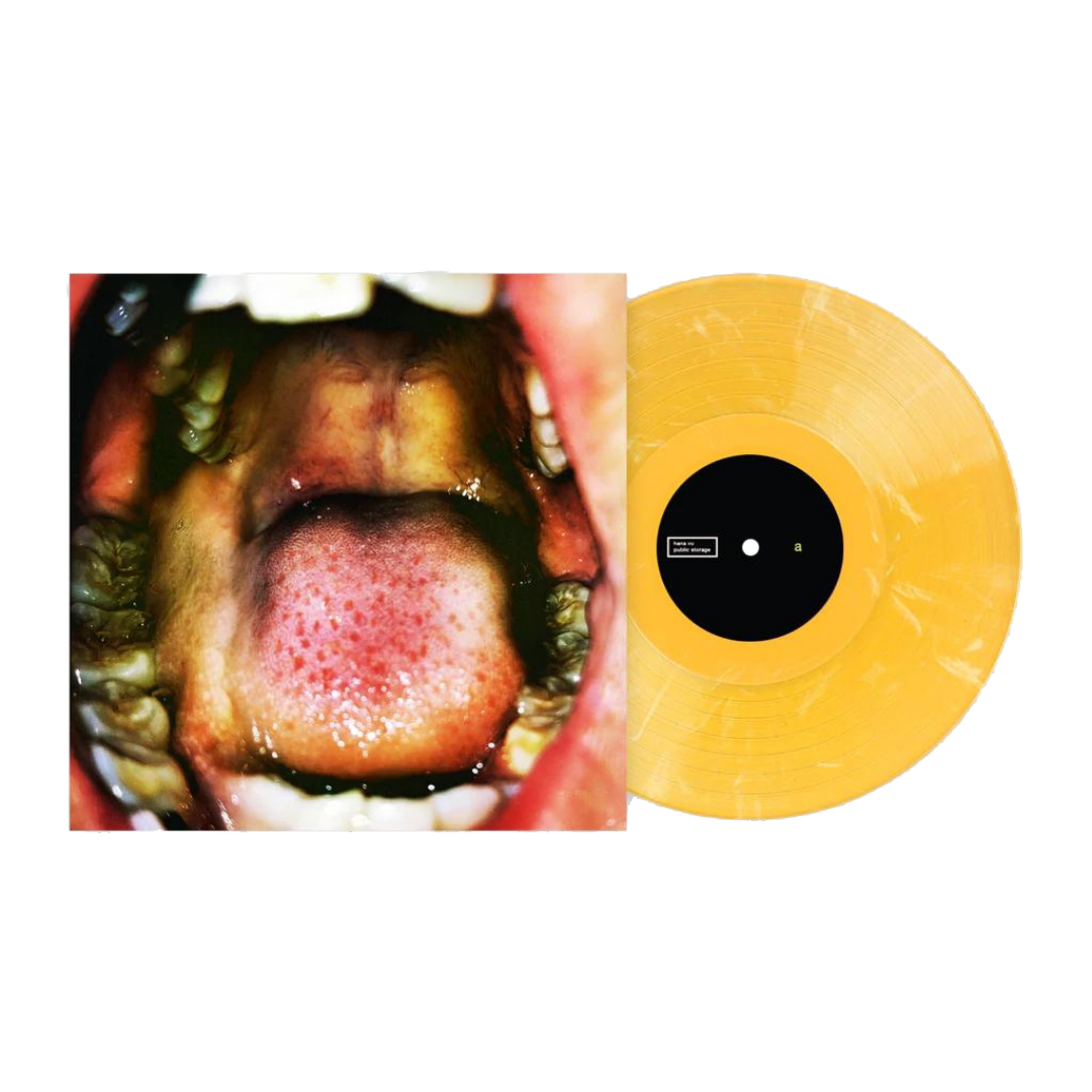 Public Storage (Limited Edition VMP Exclusive Numbered Orange Marble Vinyl)
