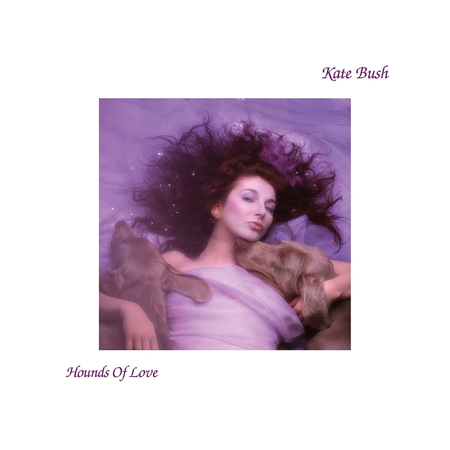 Hounds of Love (180g Vinyl)