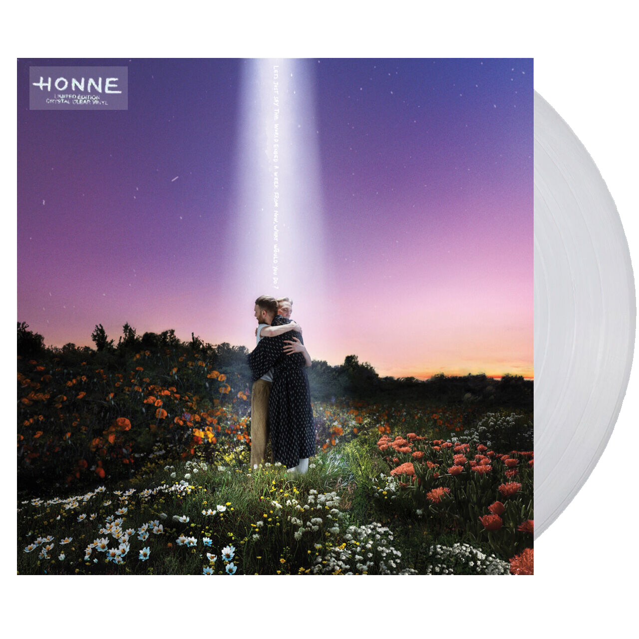 LET’S JUST SAY THE WORLD ENDED A WEEK FROM NOW, WHAT WOULD YOU DO? (Limited Edition Clear Vinyl)